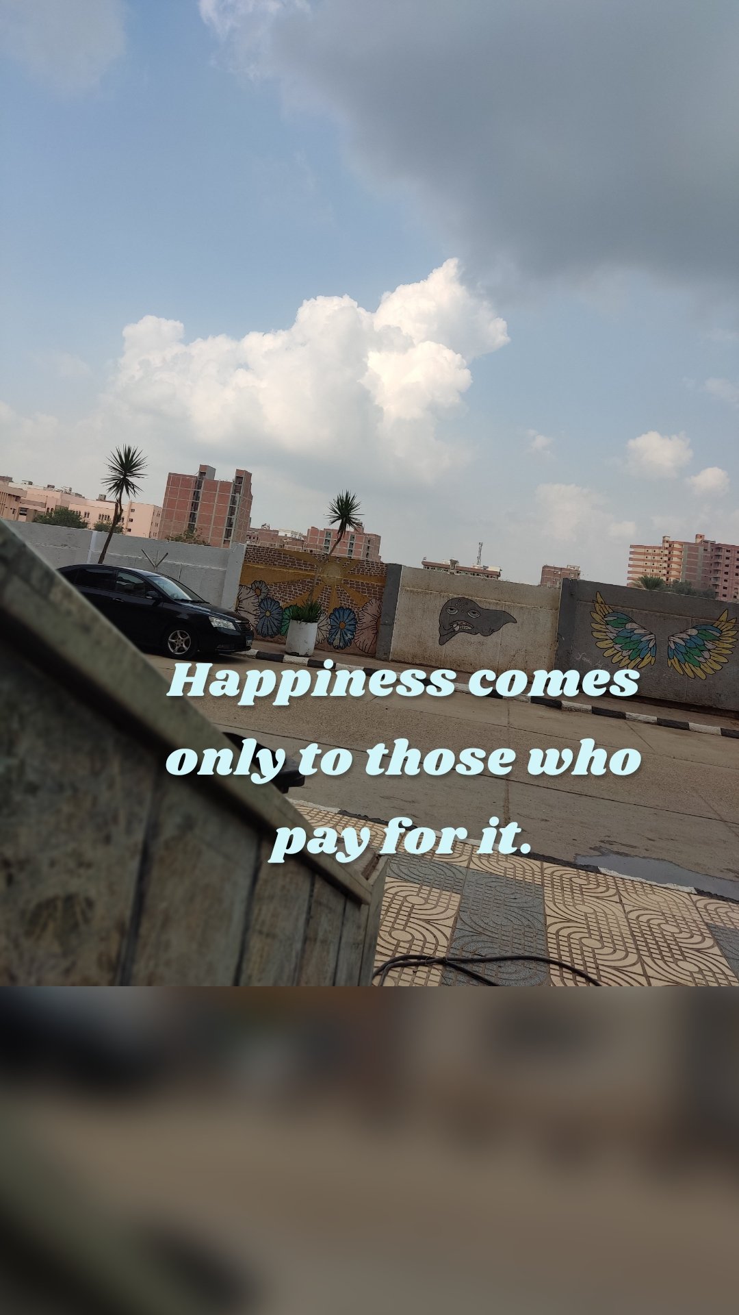 

Happiness comes only to those who pay for it.